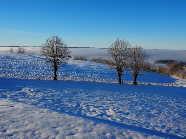 Vacances dans le Cantal, Paysage hivernal